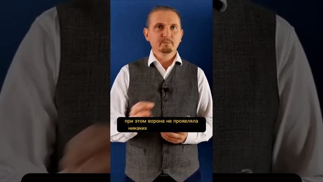 ТРИ КАЧЕСТВА МАРСА | Дмитрий Пономарев #shorts смотреть онлайн