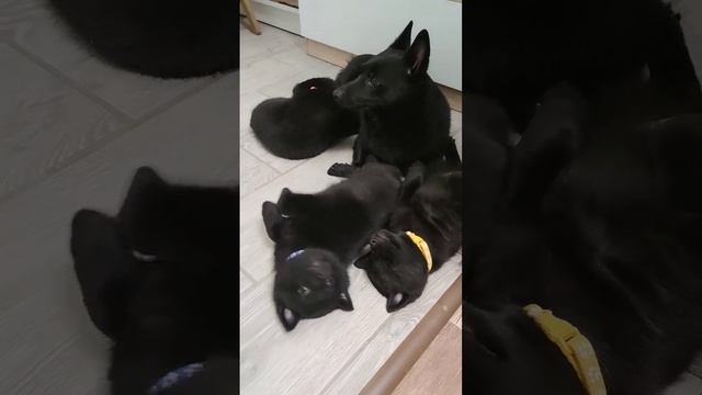 22 января 2024 г. смотреть онлайн