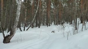 Мотобуксировщик Енисей с гусеницей Полярник 2626 на новой раме. Мотособака.