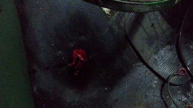 Проверка двигателя, проводки, замена шлангов бензиновых на дв 406 смотреть онлайн