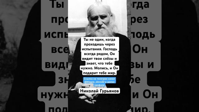 Николай Гурьянов смотреть онлайн