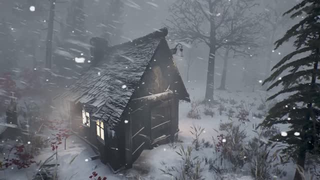 Невероятно сильная метель для сна, 5 часов снежной бури. Звуки ветра для сна на черном экране смотреть онлайн