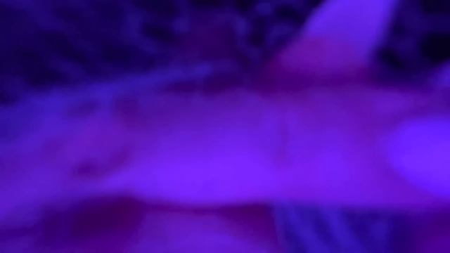 АСМР/ASMRСамая расслабляющая паутинка/ SPIDER MACRO WEB