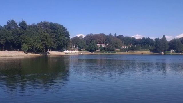 Cake - Wikipedia Article Audio смотреть онлайн