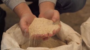 ПРИКОРМКА для рыбалки: КАК она СОЗДАЁТСЯ?