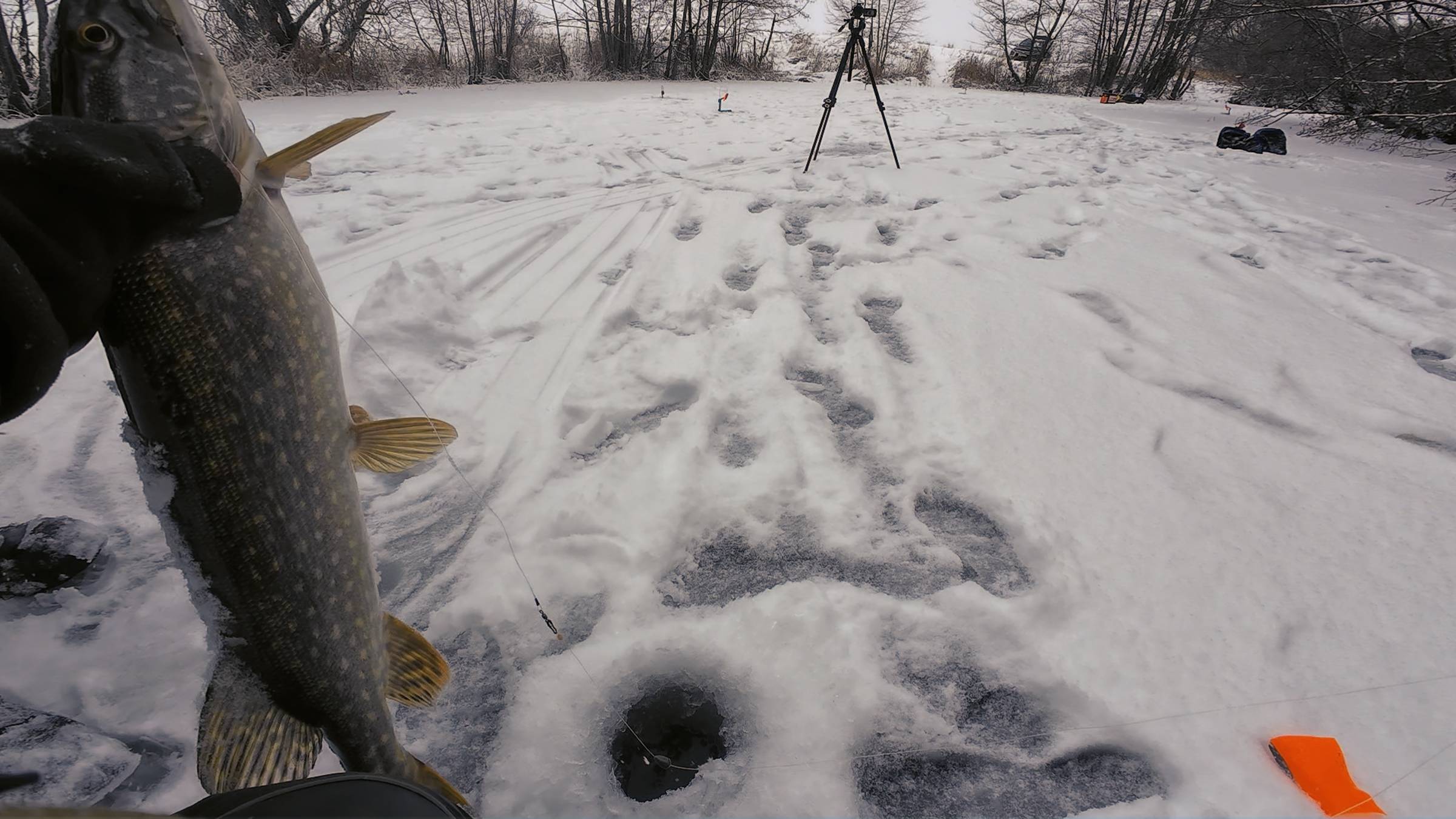 Мелкая река дала нам добро смотреть онлайн