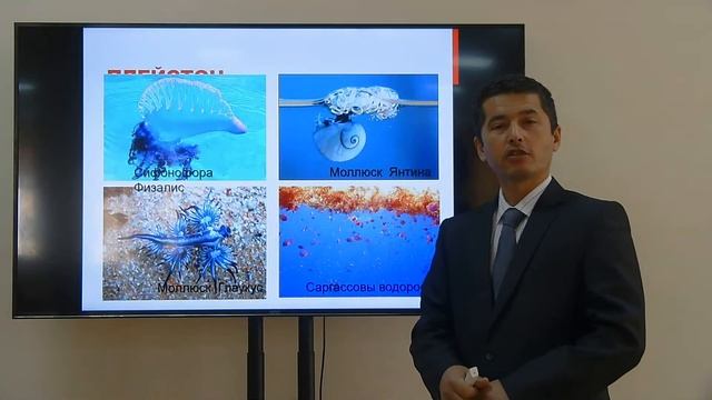 Gidrobiontlarning ekologik guruhlari смотреть онлайн
