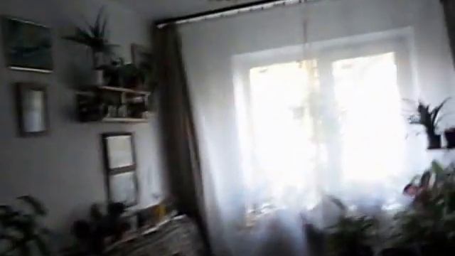 вот такой кот ваня кошмар и лето 2011 год смотреть онлайн