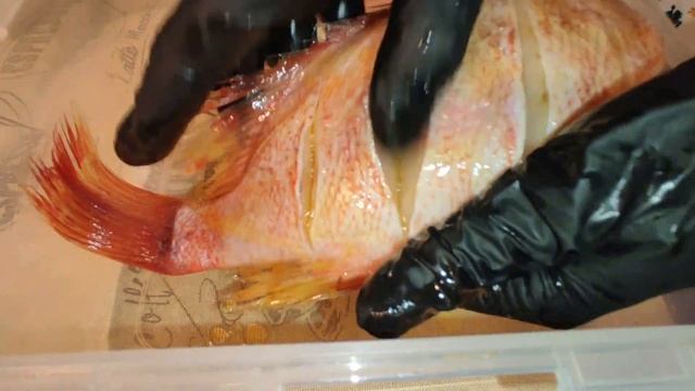 ВКУСНЕЕ ШАШЛЫКА МОРСКОЙ ОКУНЬ на мангале. Сочная и вкусная рыба на углях