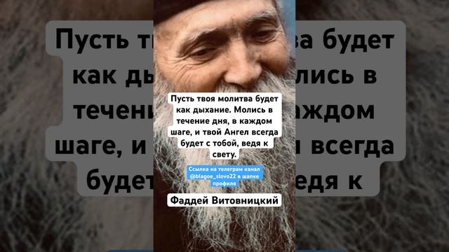 Фаддей Витовницкий смотреть онлайн