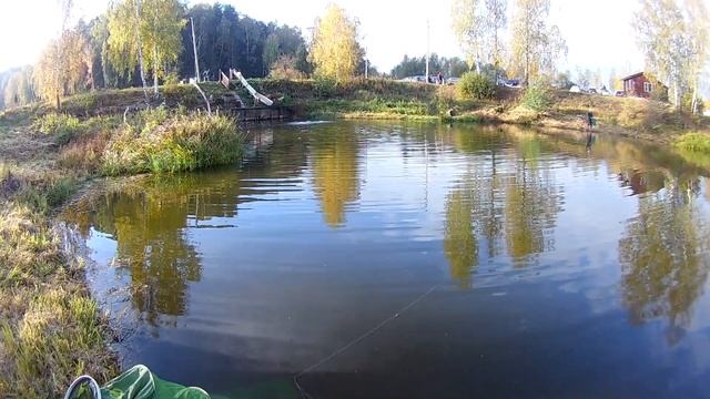 ФОРЕЛЬ НА ПЛАТНИКЕ В КАПУСТИНО.СЕВРЮГА.ВИДЕО ИЗ АРХИВА. ФОРЕЛЬ НА СПИННИНГ. смотреть онлайн