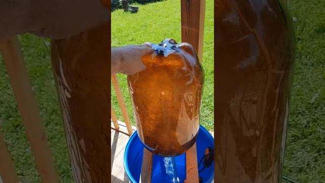 сип мойка смотреть онлайн