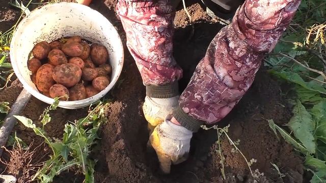 Кузница в деревне - крыша покрыта, картошка выкопана! смотреть онлайн