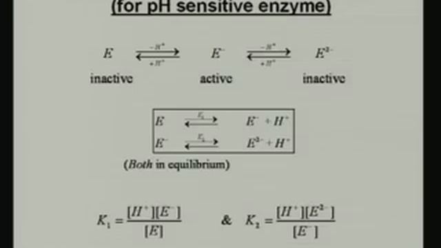 Mod-01 Lec-12 Effects of Substrate and Inhibition, pH and Temperature on Enzyme Activity смотреть онлайн