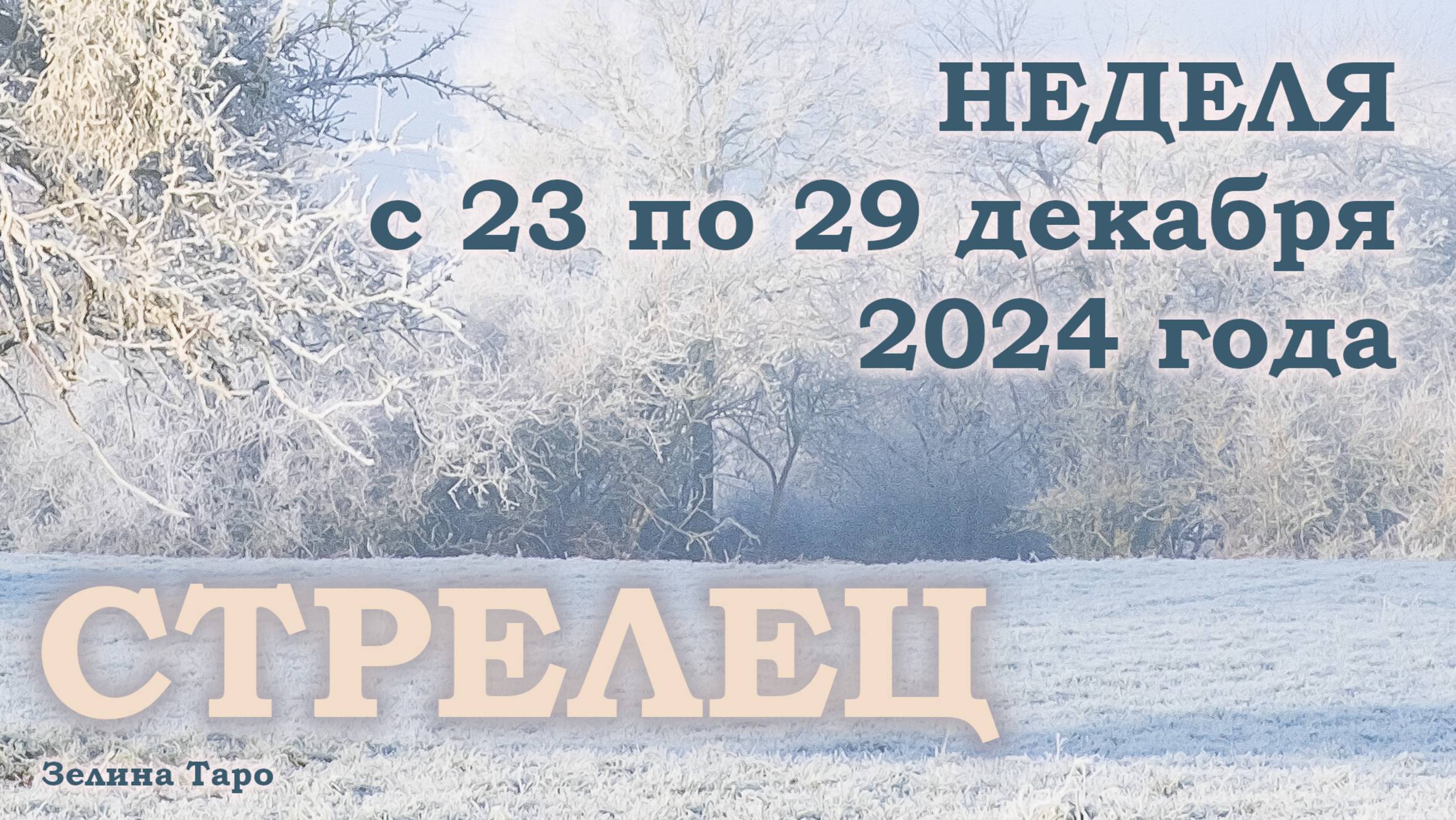 СТРЕЛЕЦ | Таро прогноз на неделю с 23 по 29 декабря 2024 года