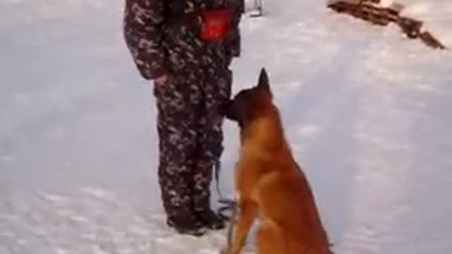 Выборка вещи смотреть онлайн