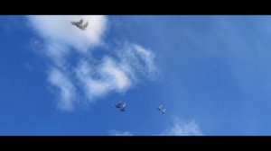 голуби николаевские