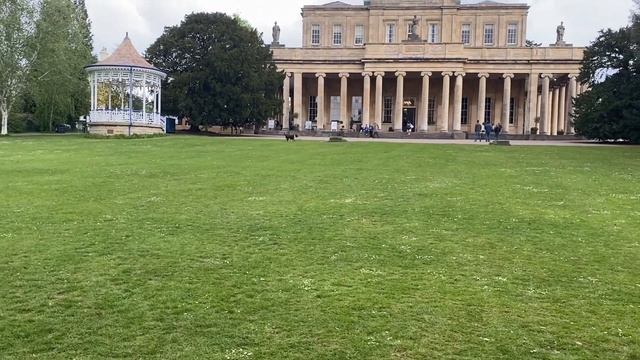 MEET OUR NEW DOG! Catch up with me … a weekend in my life vlog смотреть онлайн