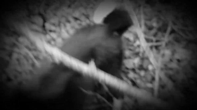 РЕЛ Бай. Первый Сезон. смотреть онлайн