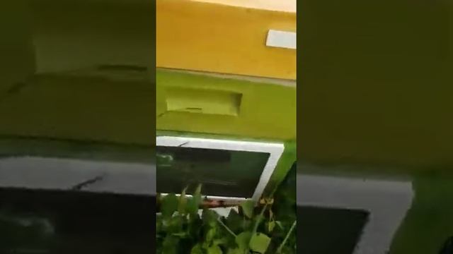 190 семей поедет с юга с такой вентиляцией! смотреть онлайн