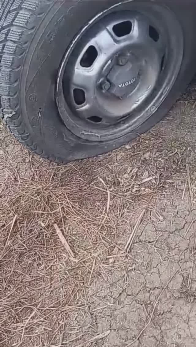 Козни рыбакам на Кубани. 😡🎣🚘 смотреть онлайн