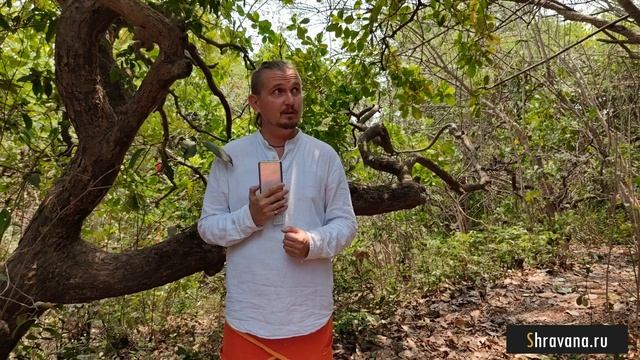 РАХУ во 2 ВТОРОМ доме | Дмитрий Пономарев смотреть онлайн