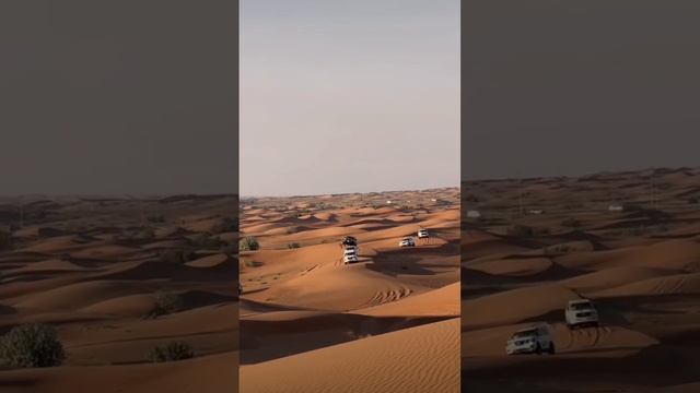 Desert Drive смотреть онлайн
