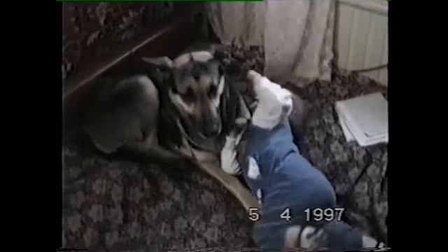 Собака бывает кусачей смотреть онлайн