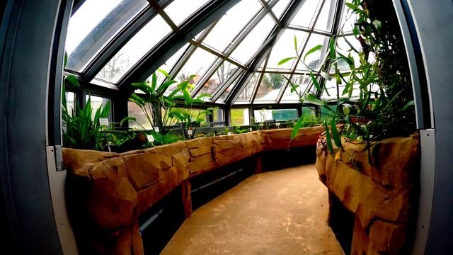Botanical Gardens Berlin - A green world смотреть онлайн