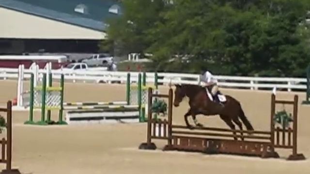 Carlene and Forest SJ смотреть онлайн