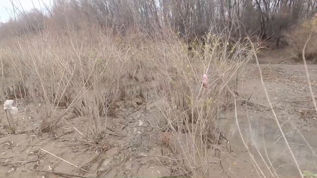 Давно таких не ловил! Голавль на донку. Рыбалка и отдых на Урале смотреть онлайн