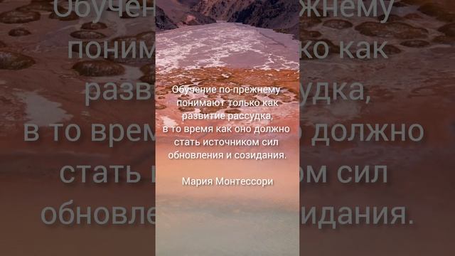 цитаты Монтессори смотреть онлайн