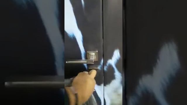 Перегородка тех зоны в шатре смотреть онлайн