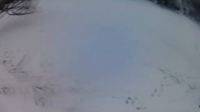 VLOG | ХОДИМ ПО ЛЬДУ! | ПРОВАЛИЛСЯ ПОД ЛЁД!!!