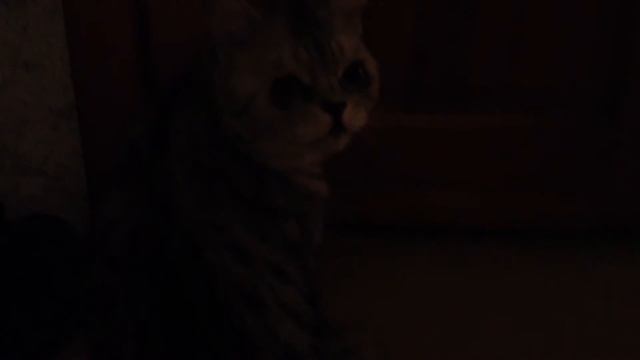 Кекс смотреть онлайн