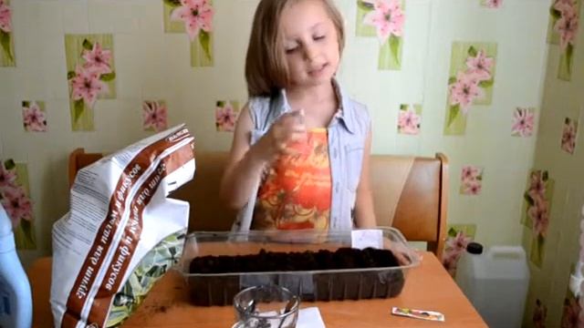 Проект "Мой огород " (часть Зелень) смотреть онлайн