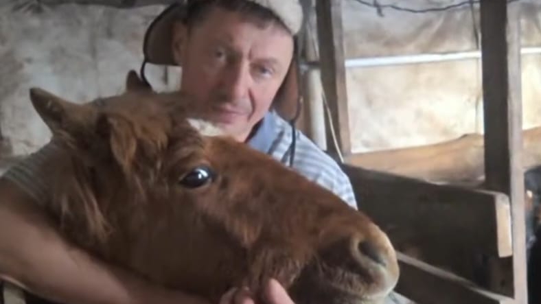 Воскресенье