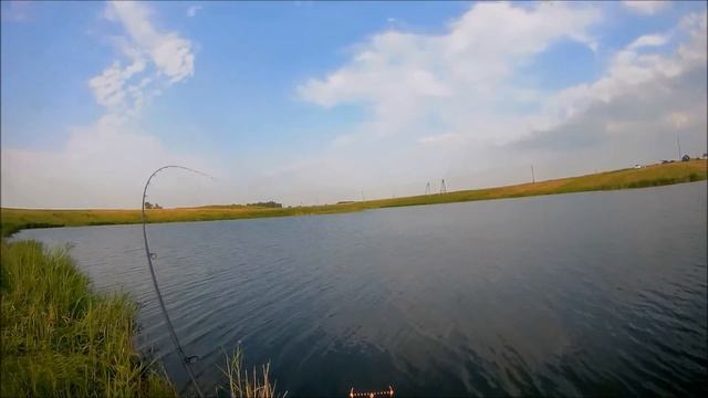 Зачётная плотва на фидер смотреть онлайн