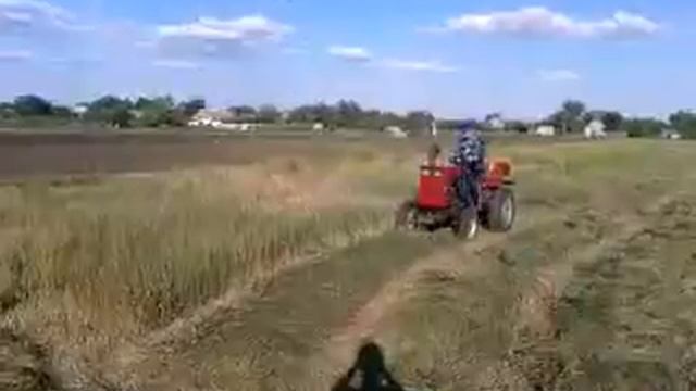 Видео0008 синтай с переделанной сенокосилкой смотреть онлайн