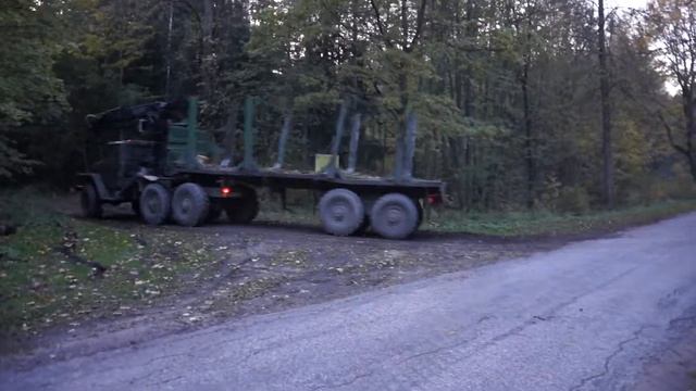 00029 смотреть онлайн