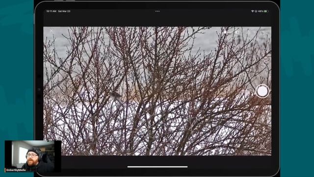 Live Birding Session with the Dwarf II Smart Telescope смотреть онлайн