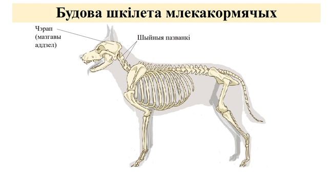 842 Мастер смотреть онлайн