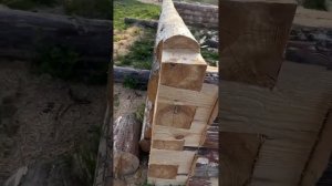 Сруб для дома/бани. Что такое ласточкин хвост или в лапу?