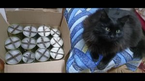 Окопные свечи, как сделать своими руками.