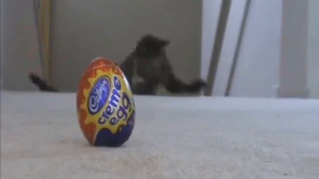 The Mini Eggscape In Slow Motion смотреть онлайн