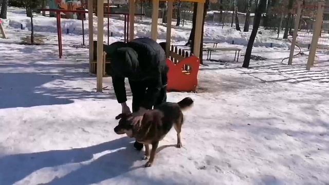 НАША ❤️ КЛИПСА ЛАЗАРЕВСКАЯ 🌅🌅🌅 смотреть онлайн