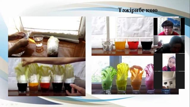 Мамыкова БЭҰ  Оқушылардың ҒЗЖ ұйымдастыру