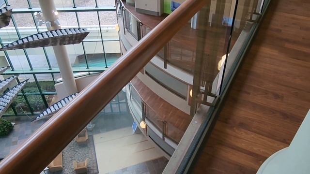 ВСЕМ ОГРОМНОЕ СПАСИБО ЗА ПОЗДРАВЛЕНИЯ // ЕЗДИЛИ В ГОСПИТАЛЬ // США смотреть онлайн