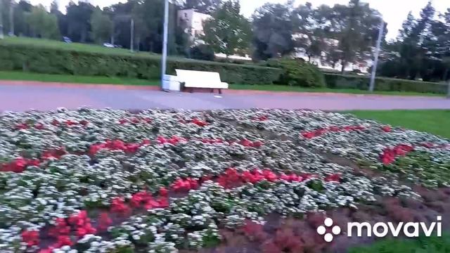 #ПАРК#Санкт-Петербург# ХОРЬКИ В САНКТ-ПЕТЕРБУРГЕ в прекрасном Парке Вечернего спального района Пите смотреть онлайн