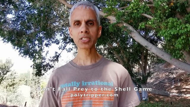PolyTripper: Don't Fall Prey to the Shell Game смотреть онлайн